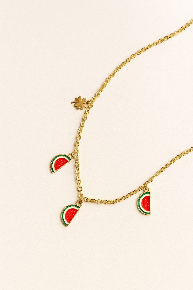 Collar Charm Sandia Acero